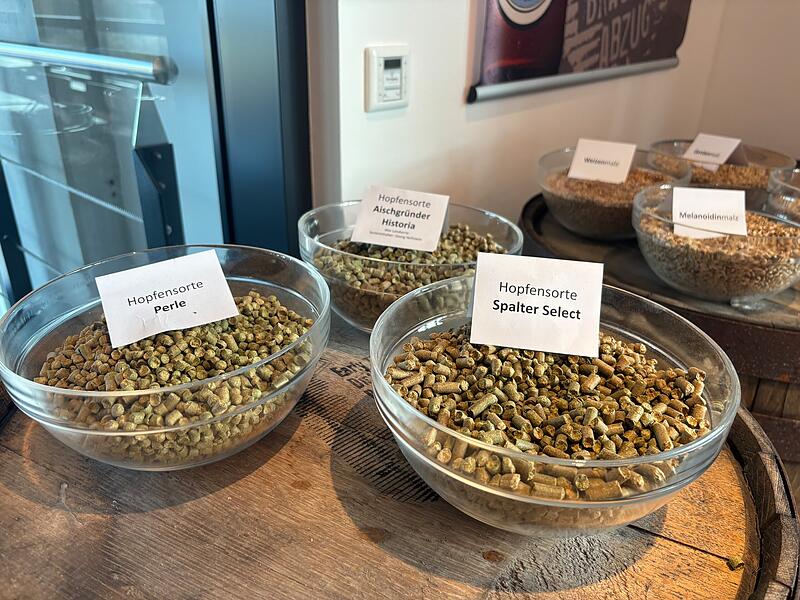 Hopfensorte "Aischgr&uuml;nder Historia"