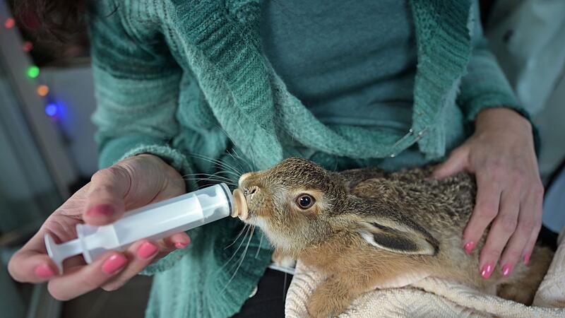 Besuch in einer Wildtier-Auffangstation