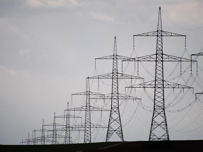 Die neuen Stromtrassen werden die Bürgerinitiative (BI) „Ortsteile Schondra gegen Suedlink“ weiter beschäftigen. Die neuen Stromtrassen werden die Bürgerinitiative (BI) „Ortsteile Schondra gegen Suedlink“ weiter beschäftigen.