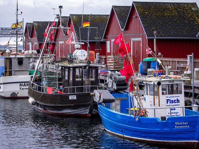 Vor dem Treffen zu neuen Fischfangmengen