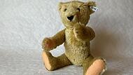 „Bär 55 PB“ heißt der Teddy der Firma Steiff, den Museumspädagogin Alexandra Taschner vom Spielzeugmuseum Neustadt als Exponat des Monats Juli ausgewählt hat.