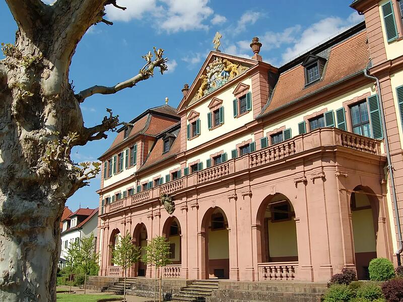 Im Kellereischloss laufen die Umbauarbeiten f&uuml;r das Naturerlebniszentrum.