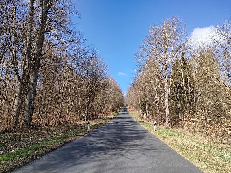 Von Gefäll aus in die Schwarzen Berge führt eine alte Birkenallee. Von Gefäll aus in die Schwarzen Berge führt eine alte Birkenallee.