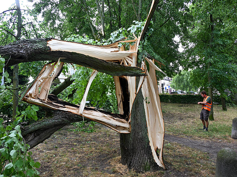 Sturmschäden LaurenziplatzSturmschäden am Laurenziplatz u.a.