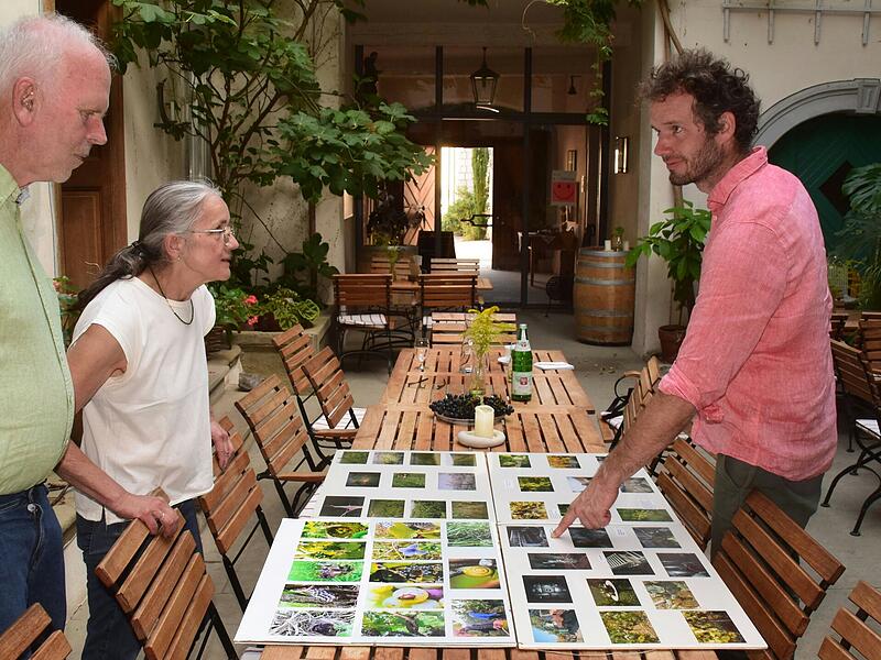 Helmut, Angelika und Michael Christ (von links) schauen sich im Innenhof des Familienweinguts Fotos vom vielf&auml;ltigen Leben im Weinberg, der Lese und der Arbeit im Weinkeller an.