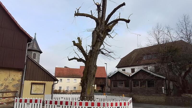 Die Gemeinde Wiesenttal hat inzwischen aus Sicherheitsgr&uuml;nden die Linde in Birkenreuth abgesperrt.Forchheim & Fr&auml;nkische Schweiz