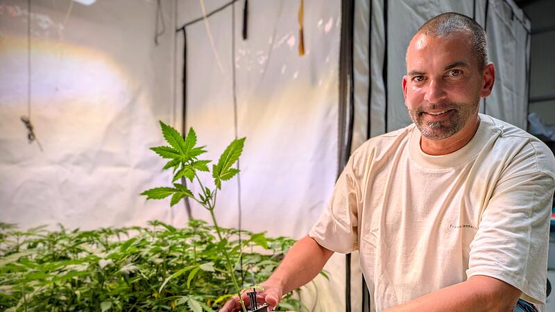 Vorstand Martin Pley mit einem seiner Gew&auml;chse. &bdquo;franken.cannabis&ldquo; erhielt am 15. Mai 2025 die Genehmigung des Freistaats Bayern zum gemeinschaftlichen Anbau von Cannabis.