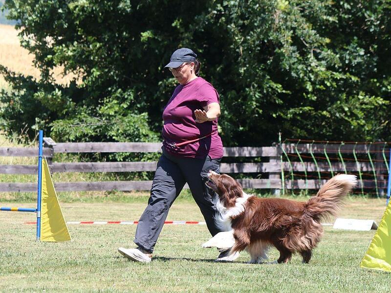 Beim Turnier   des  Gebrauchs- und Schutzhundevereins  Bad Kissingen