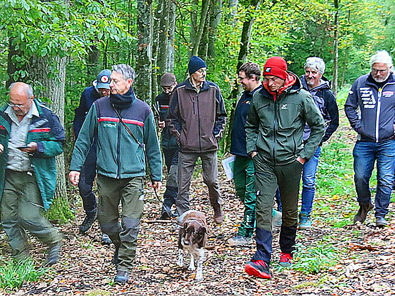 Waldbegang Rannungen