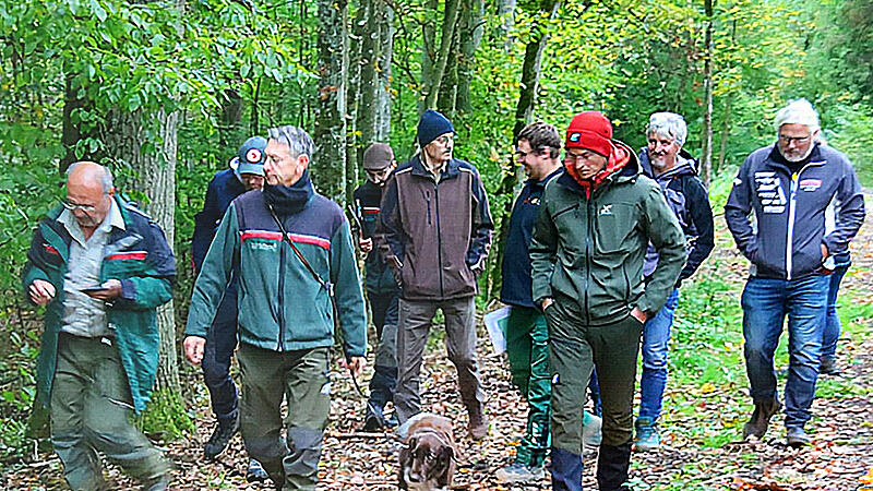 Waldbegang Rannungen