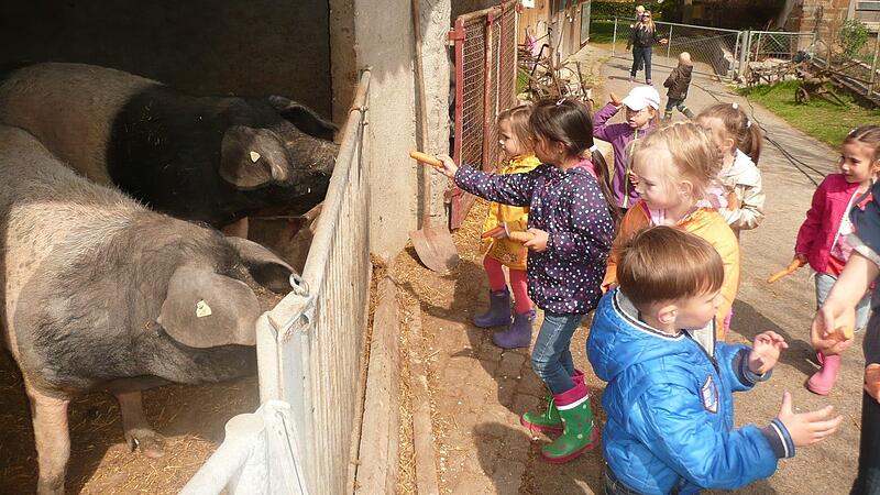 Der Erlebnisbauernhof Stierhof in Dornheim macht Kindern schon lange ein spezielles Angebot. Jetzt soll dort ein Bauernhof-Kindergarten entstehen. Der Erlebnisbauernhof Stierhof in Dornheim macht Kindern schon lange ein spezielles Angebot. Jetzt soll dort ein Bauernhof-Kindergarten entstehen.
