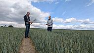 Trockenheit Landwirtschaft