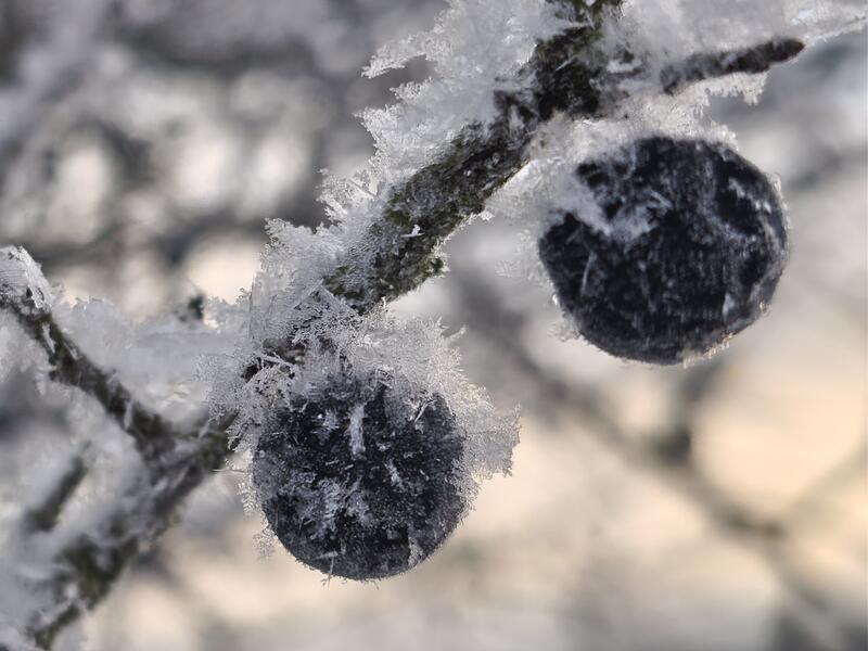 Leserfotos Erlangen-H&ouml;chstadt