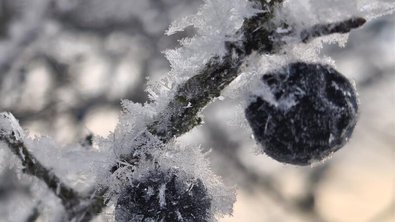 Leserfotos Erlangen-H&ouml;chstadt