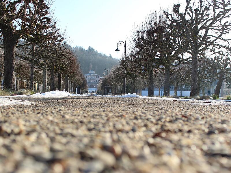 Der Schlosspark des Staatsbades Bad Brückenau im Winter. Der Schlosspark des Staatsbades Bad Brückenau im Winter.