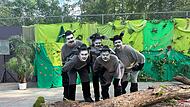 Bei der Premiere der Skatergeneration im Juli haben vor allem die fünf Hyänen die Redaktion mit ihrem Kostüm und Schauspiel überzeugt.