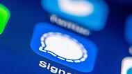 Das Logo des Messenger Dienstes Signal auf einem Smartphone