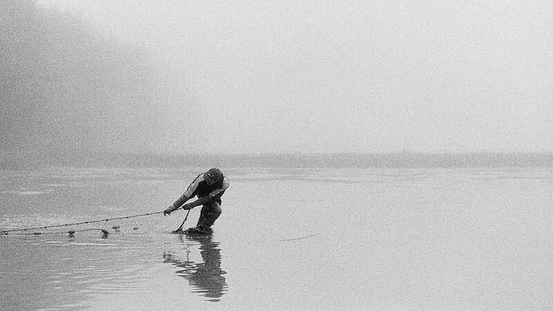 Ein Mann zerrt ein Netz im Morgengrauen durch das Wasser: So anstrengend und schön ist die Teichwirtschaft.