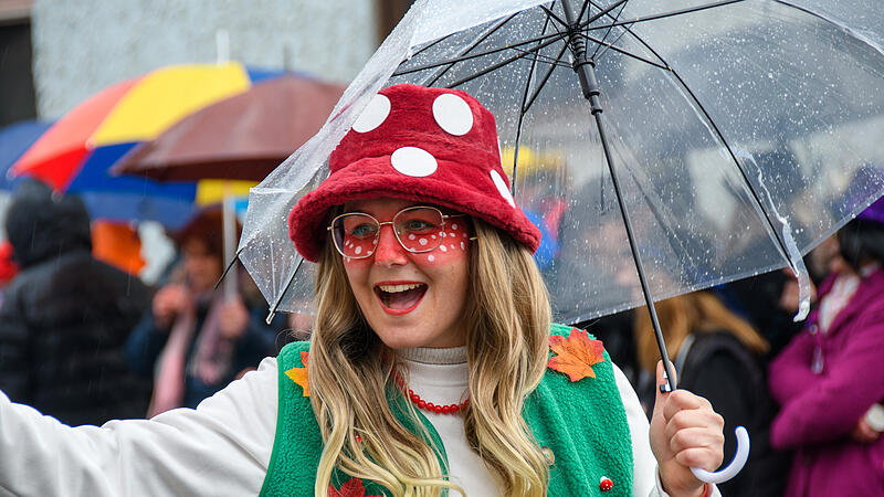 Faschingszug in Diebach 2026Faschingszug in Diebach 2026 Faschingszug in Diebach 2026Faschingszug in Diebach 2026