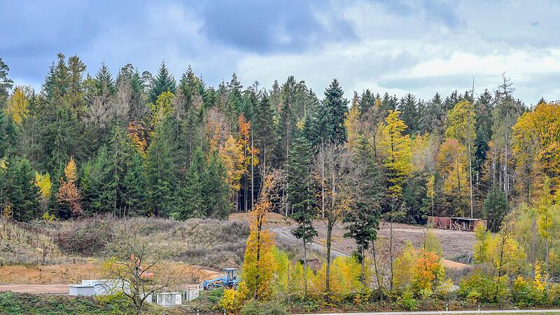 Ein Teil der Deponie und das  damals illegal gerodete Areal (rechts) auf einem Bild aus dem Herbst 2019. Der Wald dahinter würde  wohl ein kleiner Teil des geplanten Tonabbau-Gebiets werden.