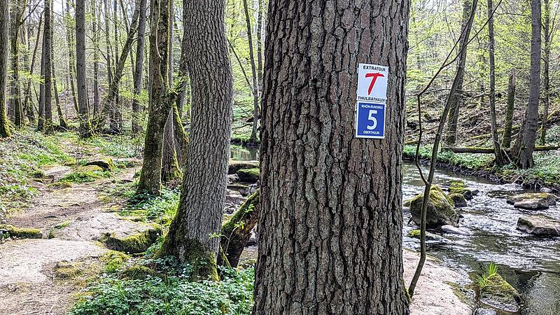 Der naturbelassene Premiumwanderweg Thulbataler (links) entlang der Thulba