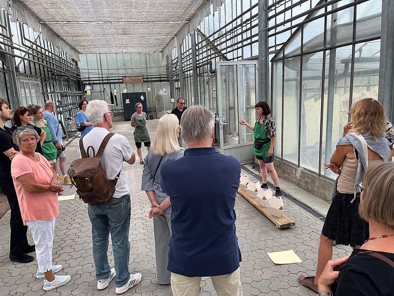 Präsentation der Arbeiten des Laboratoriums, bei dem drei Künstlerinnen im Verbinder des Treibhauses arbeiteten.Führung und Offenes Atelier Präsentation der Arbeiten des Laboratoriums, bei dem drei Künstlerinnen im Verbinder des Treibhauses arbeiteten.