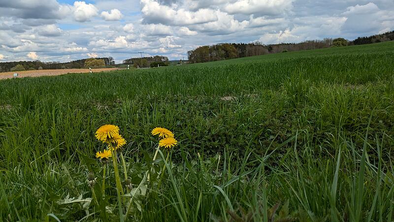 Auf dieser Wiese bei Neuhaus soll das umstrittene Wellnesshotel entstehen. Heute f&auml;llt die Entscheidung, wie es weitergehen soll.