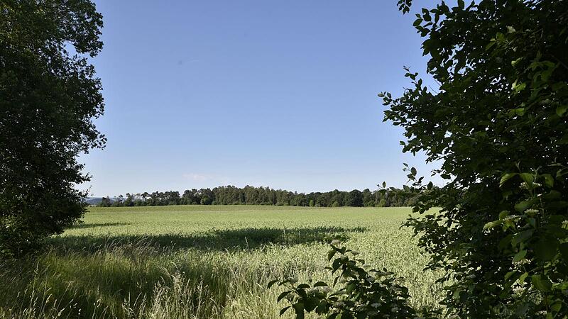 Auf dem „Rasiger Wegacker“ in der Nähe des Schafhofes bei Königsberg soll eine Freiflächenphotovoltaikanlage errichtet werden.