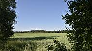 Auf dem „Rasiger Wegacker“ in der Nähe des Schafhofes bei Königsberg soll eine Freiflächenphotovoltaikanlage errichtet werden.