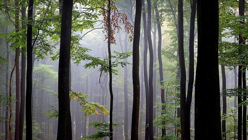 Spessart