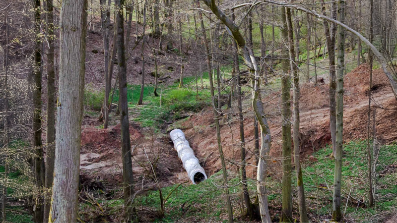 Die Bauma&szlig;nahmen im Pr&ouml;tschenbachtal zwischen Mainleus und Wernstein werden hei&szlig; diskutiert. Auch der LBV positioniert sich jetzt zu dem Stra&szlig;enbau.