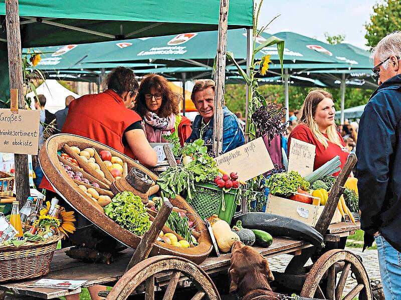 Leckeres und Gesundes gibt es w&auml;hrend des Hoffests in Hemhofen bei der &bdquo;abokiste&ldquo; zu kaufen.