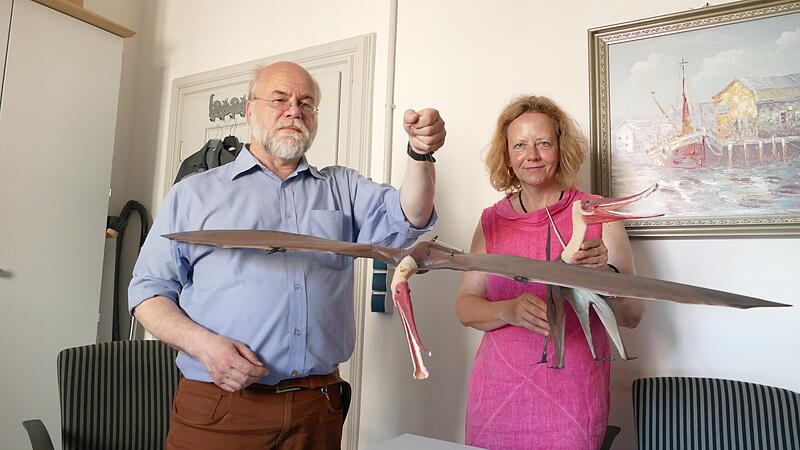 Die Vorsitzenden des Vereins &bdquo;Freunde des Naturkundemuseums Bamberg&ldquo;, Christoph Schindler und Margret Prussat, zeigen den Flugsaurier mit seiner Spannweite.