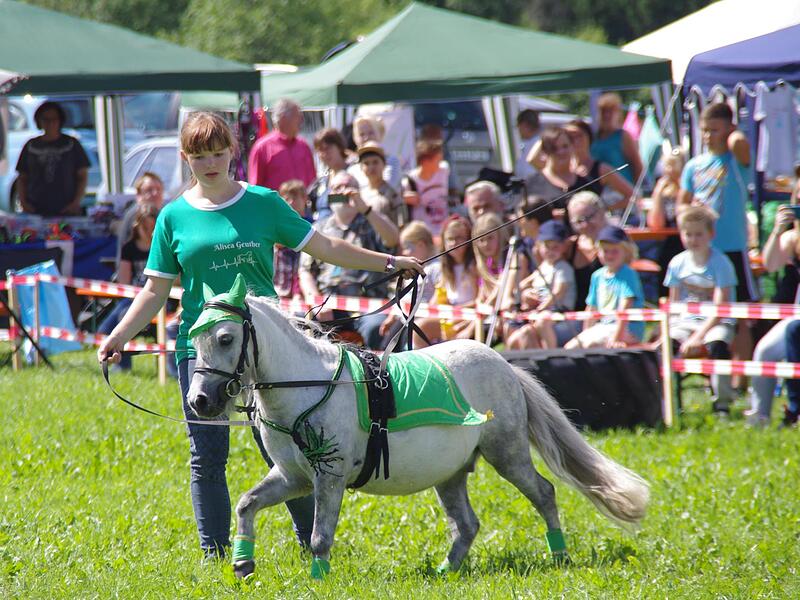 Das Kronacher Tierheimfest lockt alljährlich zahlreiche Besucher an. Das Kronacher Tierheimfest lockt alljährlich zahlreiche Besucher an.