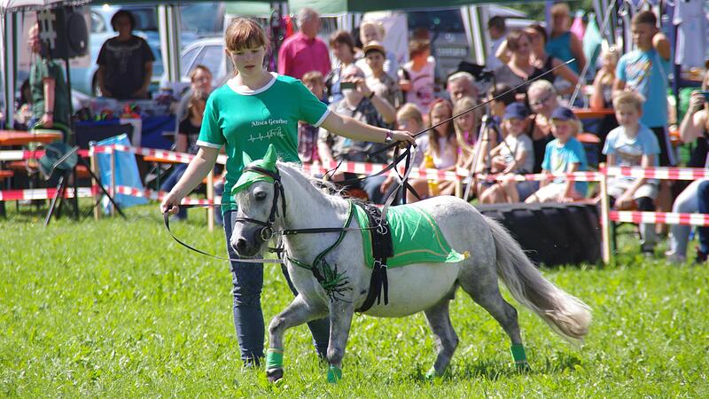 Das Kronacher Tierheimfest lockt alljährlich zahlreiche Besucher an. Das Kronacher Tierheimfest lockt alljährlich zahlreiche Besucher an.