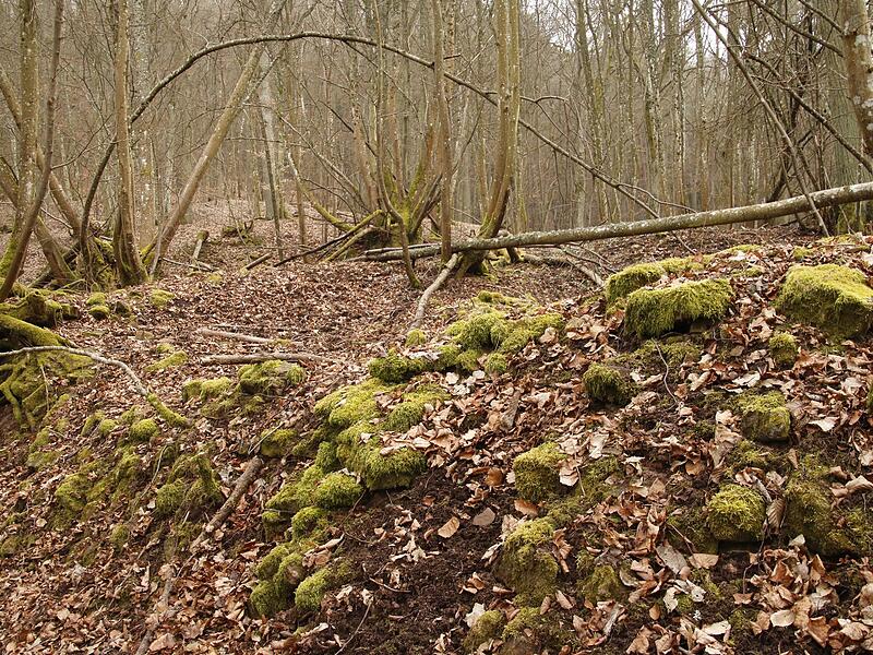Von der Burg Steineck bei Steinach/Roth ist nur noch wenig &uuml;brig.