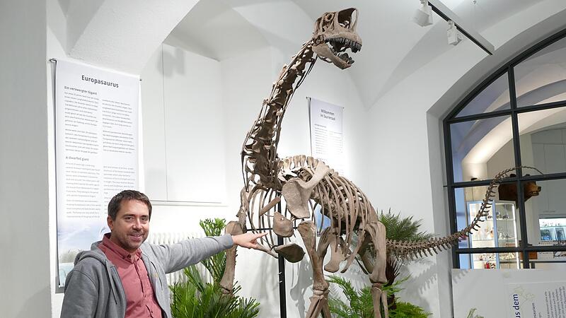 Stolz pr&auml;sentiert Oliver Wings, Direktor des Naturkundemuseums, den hochwertigen Skelettabguss eines Dinos im neuen Sauriersaal.
