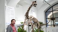 Stolz präsentiert Oliver Wings, Direktor des Naturkundemuseums, den hochwertigen Skelettabguss eines Dinos im neuen Sauriersaal. Stolz präsentiert Oliver Wings, Direktor des Naturkundemuseums, den hochwertigen Skelettabguss eines Dinos im neuen Sauriersaal.