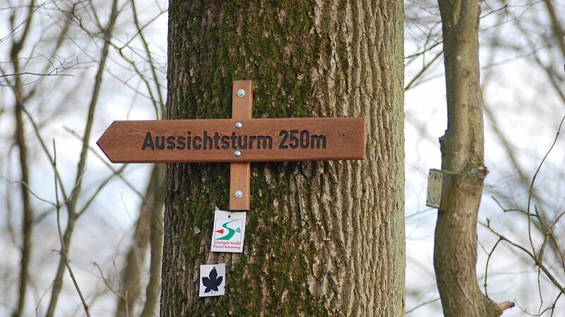 Sch&ouml;ne Aussichten f&uuml;r den Steigerwald: Der Tourismus-Anbieter Fit Reisen k&uuml;rte ihn zum beliebtesten Waldgebiet in Deutschland.