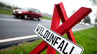 Wildunfall