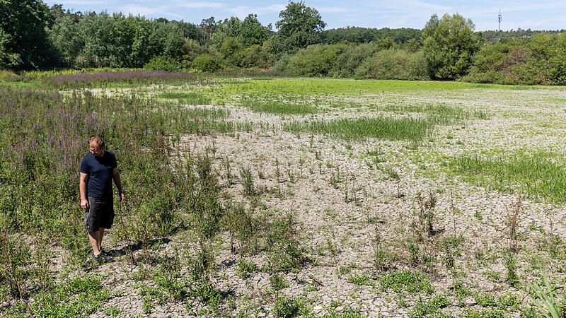 Trockenheit stellt Karpfenteichwirte vor Probleme