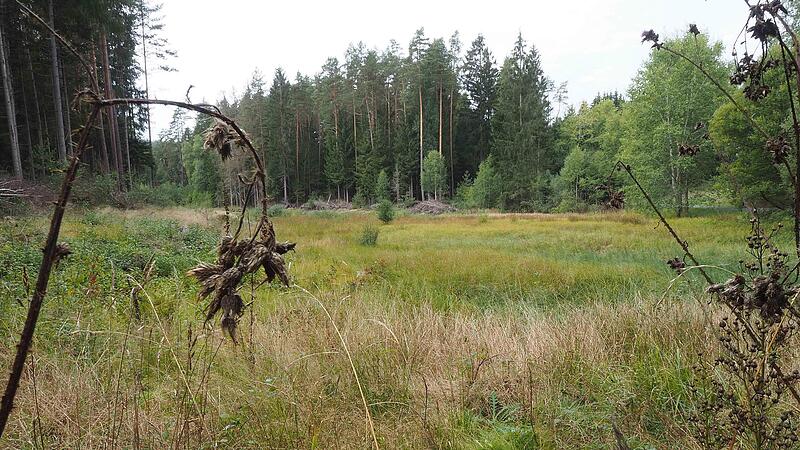 Erfolgsgeschichte an der fr&uuml;heren Grenze: das Gr&uuml;ne Band.