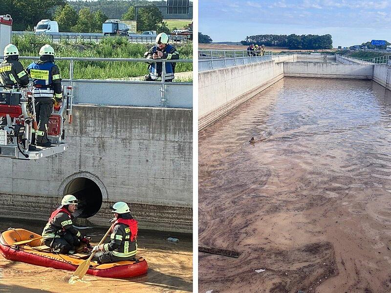 Kampf ums &Uuml;berleben: Video zeigt spektakul&auml;re Rettung - selbst B&uuml;rgermeister dabei