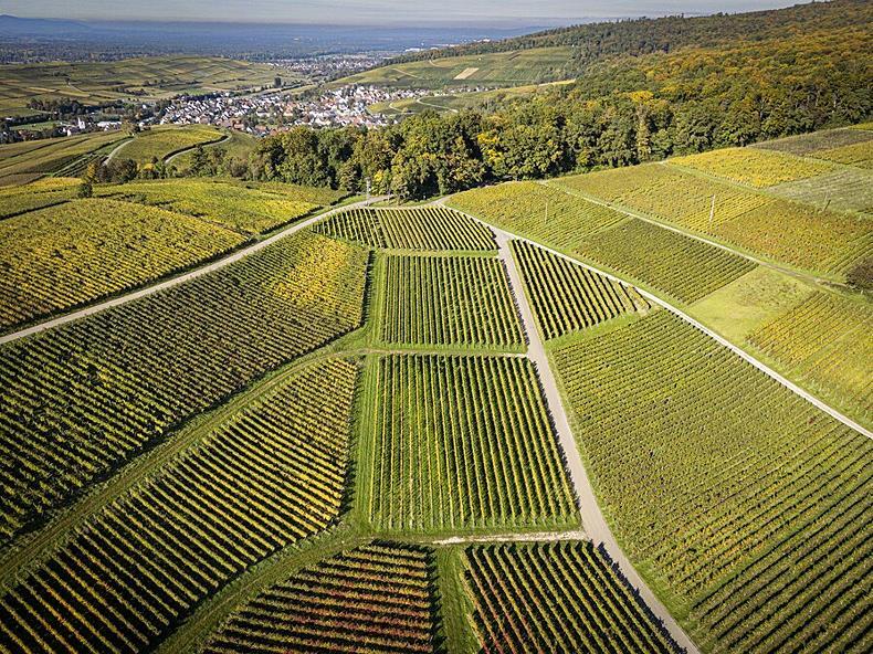 Eine Landschaft, aus der Vogelperspektive ins rechte Licht gerückt, wird zur Grafik.