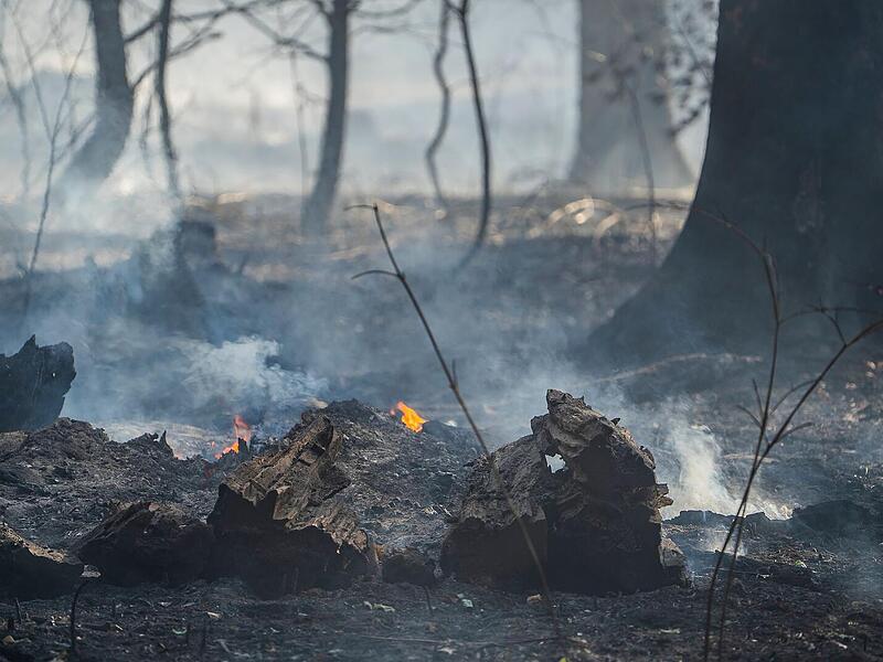 Waldbrand nahe Neustadt bei Coburg Waldbrand nahe Neustadt bei Coburg