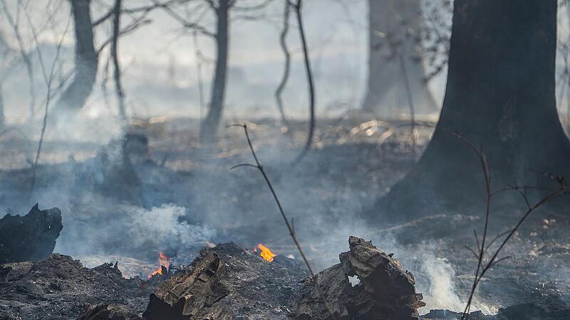 Waldbrand nahe Neustadt bei Coburg
