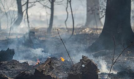 Waldbrand nahe Neustadt bei Coburg