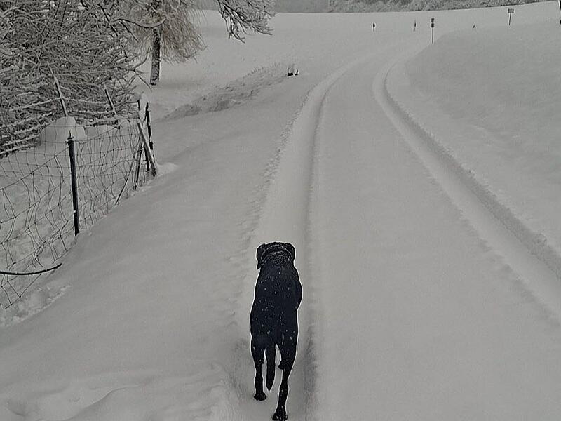 Schnee in Kulmbach: Die sch&ouml;nsten Leserfotos