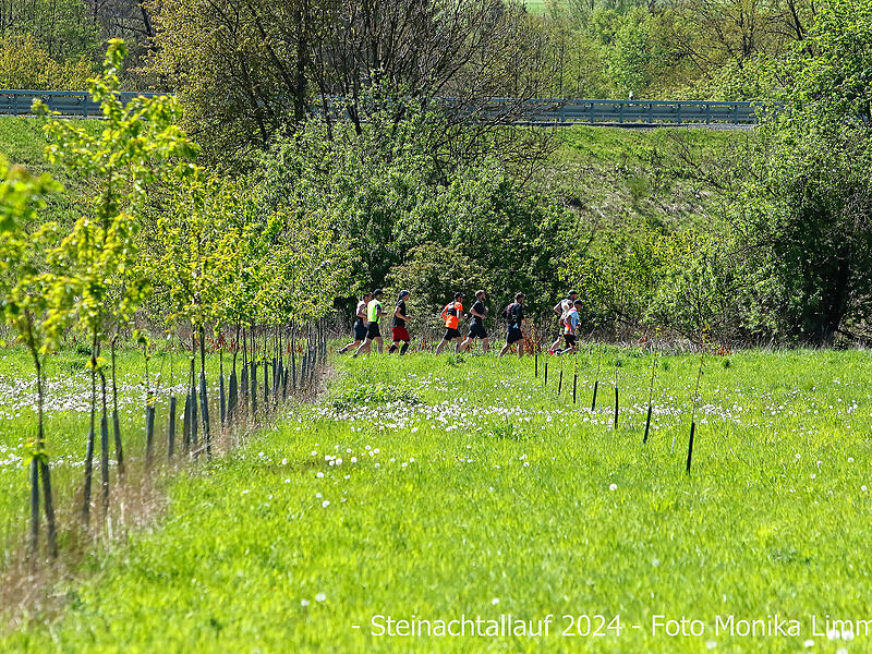 Eindr&uuml;cke vom Steinachtallauf der SGB Stadtsteinach