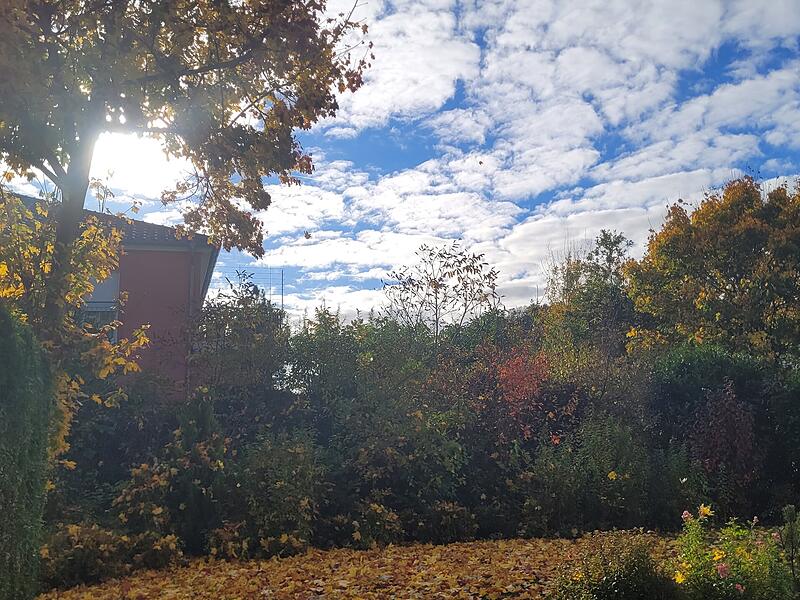 Herbstmorgen im Rosenviertel in Bad Kissingen